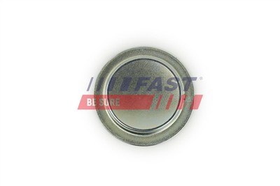 FAST FT49308 EAN: 5901797078171.