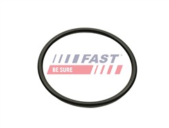 FAST FT49460