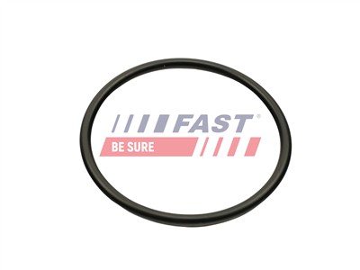 FAST FT49460 Číslo výrobce: 5904157834844. EAN: 5904157834844.