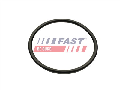 FAST FT49460 Číslo výrobce: 5904157834844. EAN: 5904157834844.