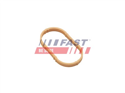 FAST FT49461 EAN: 5904157855016.