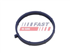 FAST FT49467