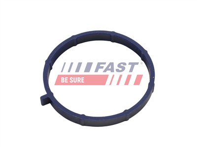 FAST FT49467 EAN: 5904157821080.