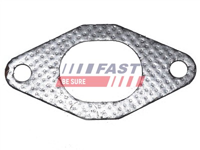 FAST FT49484 EAN: 5901797015923.