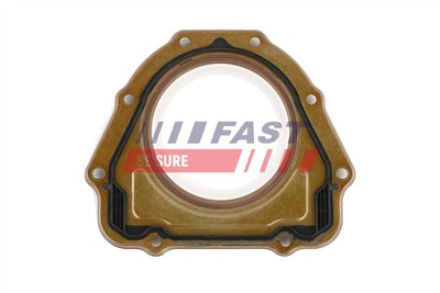 FAST FT49815 EAN: 5901797098445.