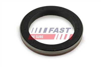 FAST FT49910 EAN: 5901797096977.