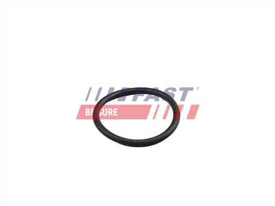 FAST FT49919 EAN: 5904157804809.