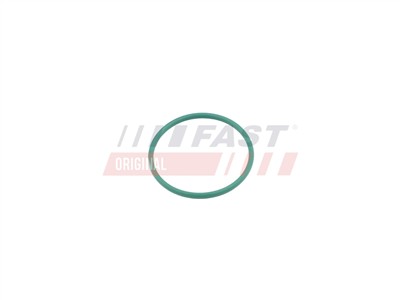 FAST FT49921 Číslo výrobce: 5904157821417. EAN: 5904157821417.