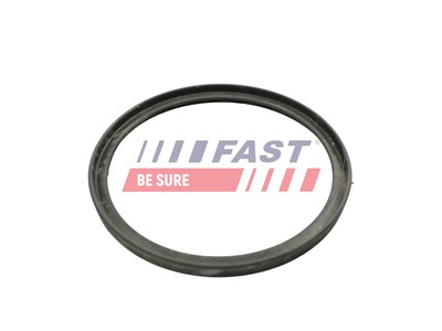 FAST FT49922 EAN: 5904157818813.