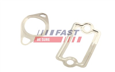 FAST FT49925 EAN: 5904157805479.