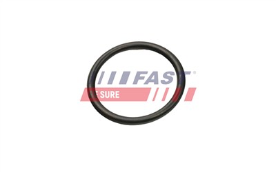 FAST FT49927 EAN: 5904157880698.