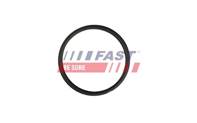 FAST FT49931