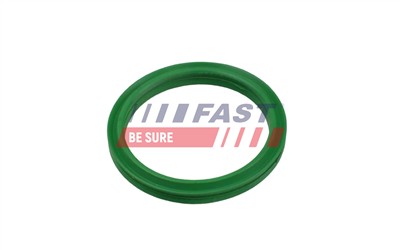 FAST FT49936 EAN: 5904157884276.