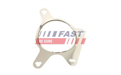 FAST FT50613 EAN: 5904157872143.