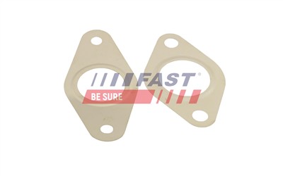 FAST FT50621 EAN: 5904157882791.