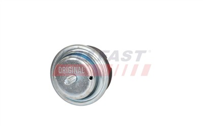 FAST FT52520 Číslo výrobce: 2000005287824. EAN: 2000005287824.