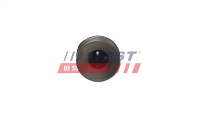 FAST FT55811 EAN: 5904157810220.