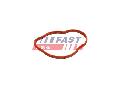 FAST FT58305 EAN: 5904157846281.