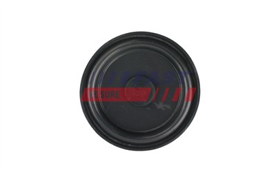 FAST FT60107 EAN: 5904157826368.