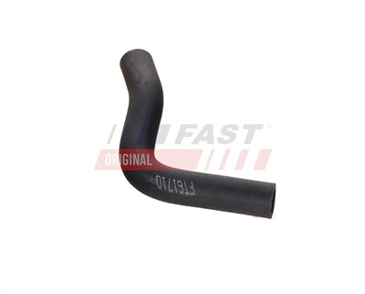 FAST FT61710 Číslo výrobce: 5901797031688. EAN: 5901797031688.