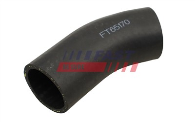 FAST FT65170 EAN: 5904157865343.