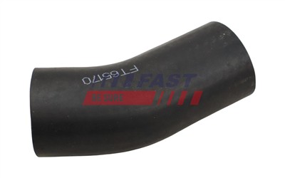 FAST FT65170 EAN: 5904157865343.