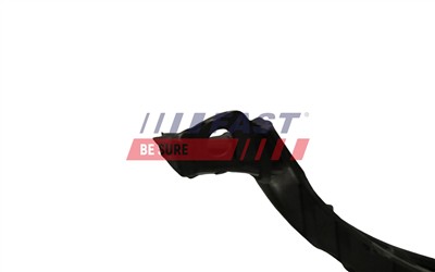 FAST FT89208 EAN: 5904157864308.