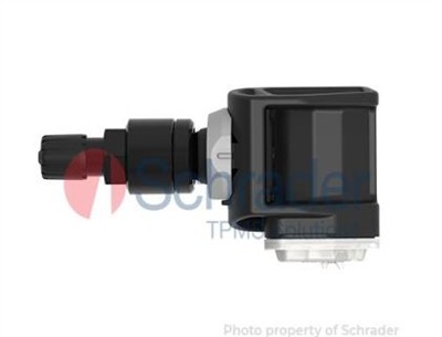 SCHRADER 3173B EAN: 5054208013961.
