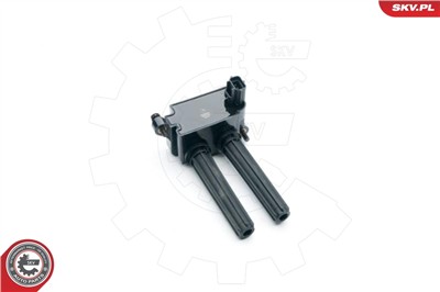 ESEN SKV 03SKV250 EAN: 5901947332467.