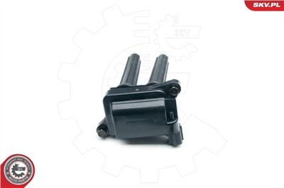 ESEN SKV 03SKV250 EAN: 5901947332467.