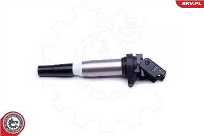 ESEN SKV 03SKV270 EAN: 5901947396315.