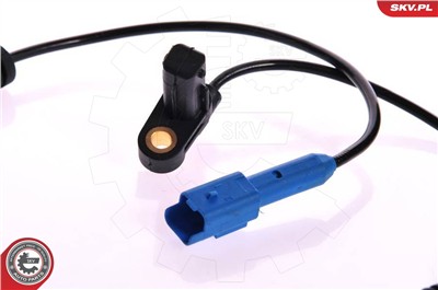 ESEN SKV 06SKV100 EAN: 5901947302903.