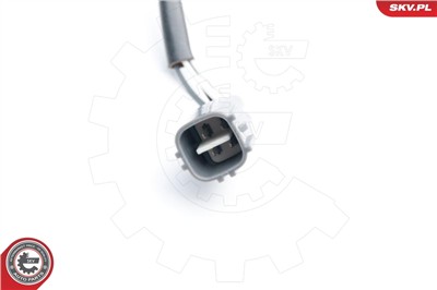 ESEN SKV 09SKV584