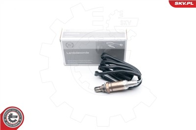 ESEN SKV 09SKV609