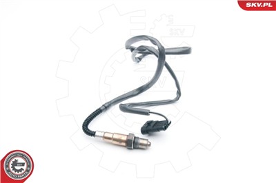 ESEN SKV 09SKV617