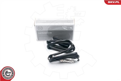 ESEN SKV 09SKV631