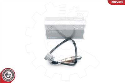 ESEN SKV 09SKV654 EAN: 5901947330210.