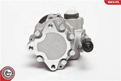 ESEN SKV 10SKV123 EAN: 5901947317570.