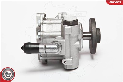 ESEN SKV 10SKV123 EAN: 5901947317570.