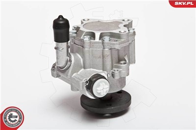 ESEN SKV 10SKV123 EAN: 5901947317570.