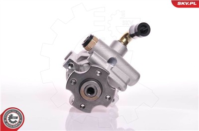 ESEN SKV 10SKV133 EAN: 5901947307953.