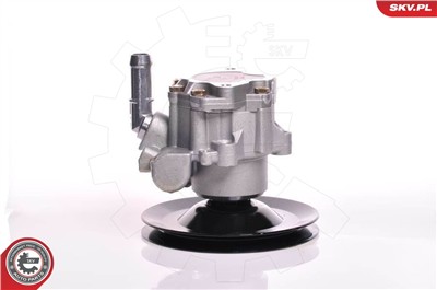 ESEN SKV 10SKV169 EAN: 5901947308141.