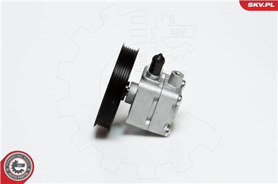 ESEN SKV 10SKV176 EAN: 5901947307250.