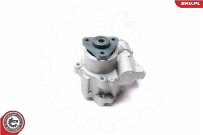 ESEN SKV 10SKV221 EAN: 5901947341520.