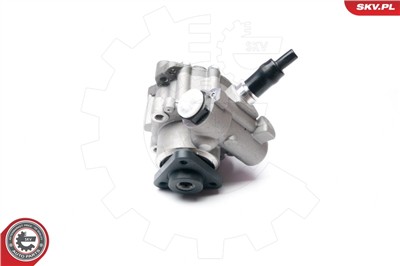 ESEN SKV 10SKV233 EAN: 5901947341643.