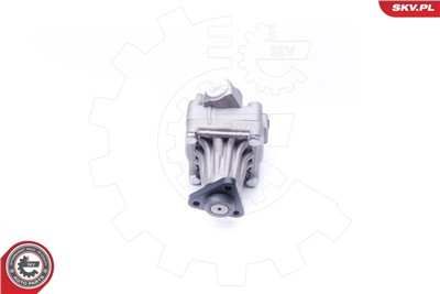 ESEN SKV 10SKV245 EAN: 5901947373132.