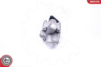 ESEN SKV 10SKV245 EAN: 5901947373132.