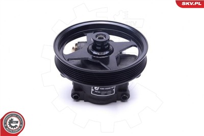 ESEN SKV 10SKV303 EAN: 5903968427542.