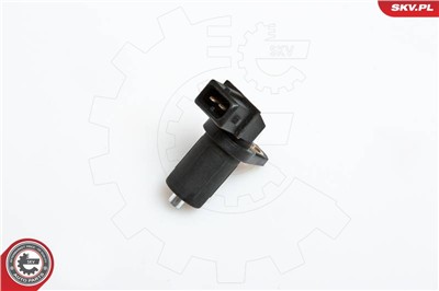 ESEN SKV 17SKV203 EAN: 5901947303450.