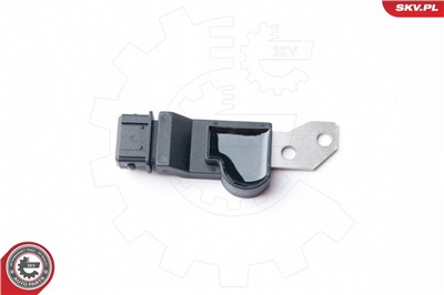 ESEN SKV 17SKV250 EAN: 5901947322987.